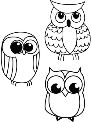 Owls. Совушки. PNG. | Изображения медведей, Картинки с совой, Рисунок совы