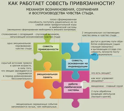 Отмирающая совесть. Знать пределы дозволенного в мире, отрицающем вину –  EBTC