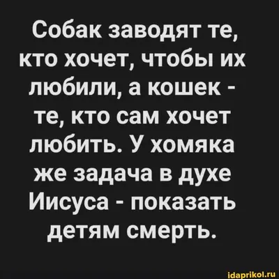 Салтыков Щедрин Пропала совесть Аудиокнига Онлайн Русская литература книга  чтение школа Слушать - YouTube