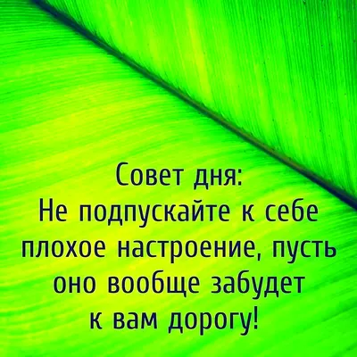 Запись дневника «Совет дня», поэт Part1sanka