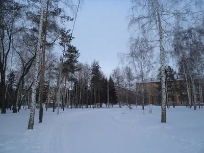 Парк культуры и отдыха \"Советский\" в Омске, ул. Андрианова, 3 - фото,  отзывы 2024, рейтинг, телефон и адрес