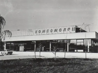 Совок хозяйственный металлический с черенком – купить в Воронеже в Лиге  мастеров
