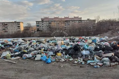 Новая жизнь площади Декабристов