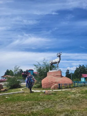 Дворец товарищества братьев Шумовых в Чите