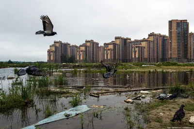 Современный Санкт-Петербург