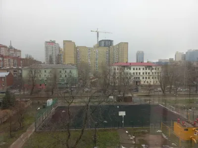Новый Генплан Воронежа предполагает двукратное увеличение количества  соцобъектов | Горком36 новости Воронеж