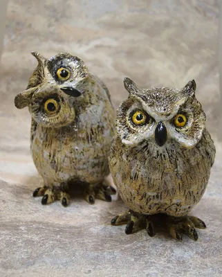 Owls. Совушки. PNG. | Картинки с совой, Плюшевая сова, Заставка на рабочий  стол с совами