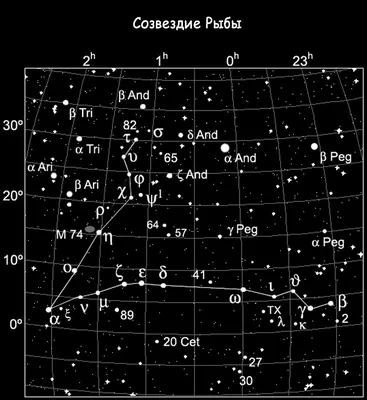 Созвездие рыбы фото фотографии