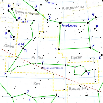 Рыбы (созвездие) — Википедия