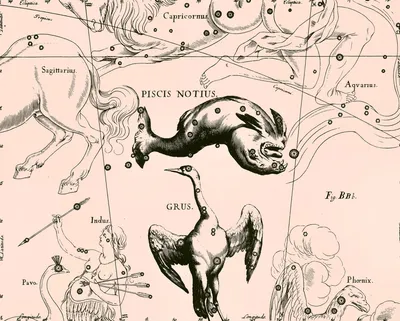 Созвездие - Южная Рыба - Piscis Austrinus, PsA - Фомальгаут - CNews