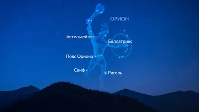 Созвездие Ориона на небе | Пояс Ориона | Как выглядит созвездие Орион |  Star Walk