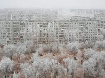 Спартановка: последние новости на сегодня, самые свежие сведения | v1.ru -  новости Волгограда