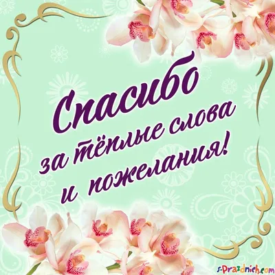 Спасибо, Леночка @elena_galitsyna_ за лучшие фото всегда!🙏📸🔥  #анастасияволочкова #балет #россия #москва | Instagram