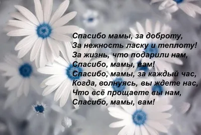 Бенто торт Маме «Спасибо за жизнь», Кондитерские и пекарни Дрожжино, купить  по цене 1500 RUB, Бенто-торты в Alinnimalini с доставкой | Flowwow