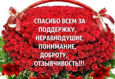 МБДОУ Детский сад №339 г.о. Самара on X: \"Благодарим весь коллектив  детского сада за слаженную работу и подготовку к МКДО (мониторинг качества  дошкольного образования)! Выражаем искреннюю благодарность родителям за  поддержку и помощь!