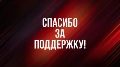 Баннеры \"Спасибо за поддержку!\" от ЕР появились в Хабаровске на второй день  после выборов - AmurMedia.ru