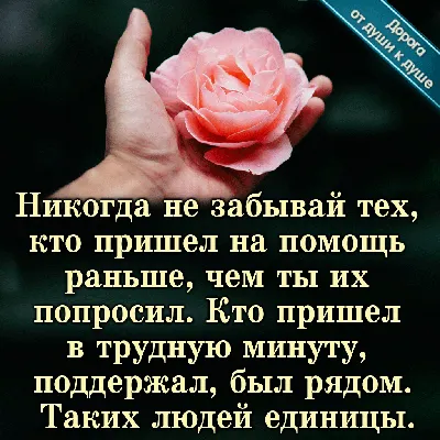 Запись, показывающая Спасибо За Поддержку Благодарность за помощь  Иллюстрация штока - иллюстрации насчитывающей дар, рекламодатель: 134833981