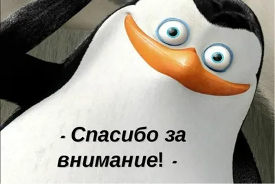 Нашивка на липучке \"Внимание Спасибо За Внимание\" - купить в  Санкт-Петербурге всего за 290 руб | M65-casual