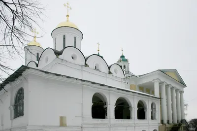 Спасо-Преображенский монастырь, Ярославль (Ярославль, город), фотография.  общий вид в ландшафте