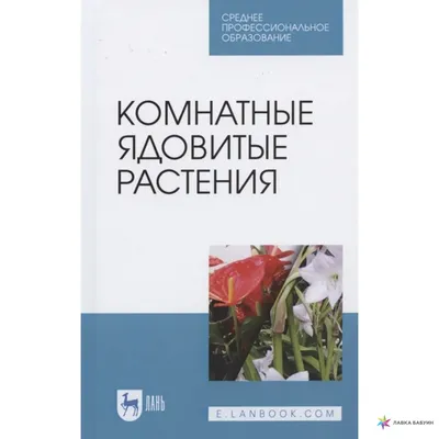 Ядовитые декоративные растения в саду и огороде. Справочник / Хабр