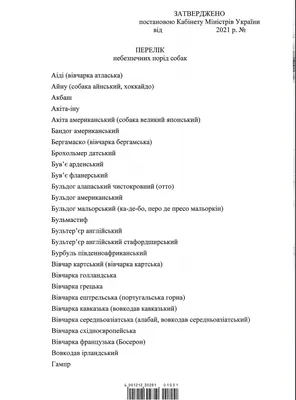 Список опасных пород собак: что надо знать владельцам