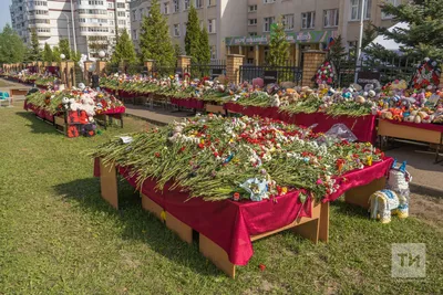 За полгода количество ДТП в Казани сократилось на 6%, а количество погибших  в них уменьшилось на 30% - Новости - Официальный портал Казани