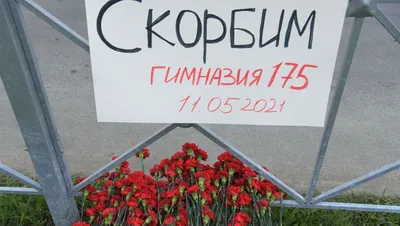 МЧС опубликовало список погибших в авиакатастрофе в Казани | Forbes.ru