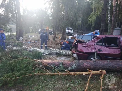 7 детей и 2 взрослых погибли во время стрельбы в школе Казани (видео) :  Урал56.Ру. Новости Орска, Оренбурга и Оренбургской области.