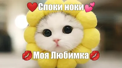 Открытка Мариночка Споки ноки.