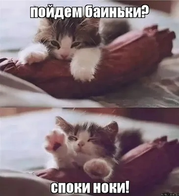 Споки ноки 😴 Добрых снов. Уюта …» — создано в Шедевруме