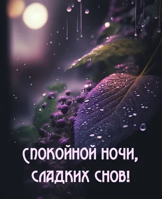 Открытки \"Спокойной ночи!\" для женщин (207 шт.)