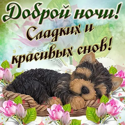 Картинки \"Спокойной Ночи, Любимая!\" (259 шт.)