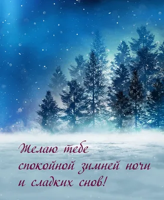 Спокойной ночи Пусть холодная зимняя ночь Унесёт тревоги все прочь, Пусть,  как снег,.. | Говорит Никольск | ВКонтакте