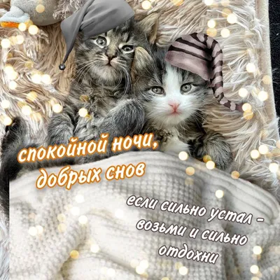 Открытки \"Спокойной ночи!\" для любимого (155 шт.)