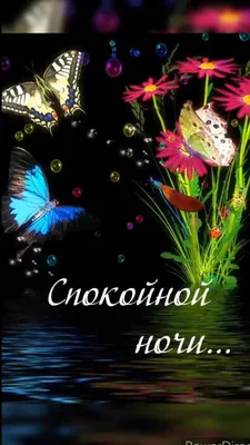 Спокойной ночи ксюша картинки (50 фото) » Юмор, позитив и много смешных  картинок