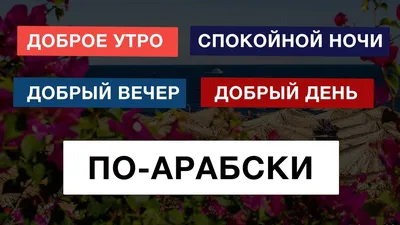 Спокойной ночи картинка на турецком языке (40 фото) » Юмор, позитив и много  смешных картинок