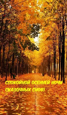 Красивые картинки \"Спокойной осенней ночи!\" (115 шт.)