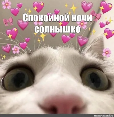 Всем спокойной ночи🥺❤️ | Instagram