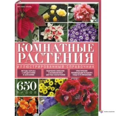 Комнатные растения. Иллюстрированный справочник, , Клуб Семейного Досуга  купить книгу 978-617-12-1669-3 – Лавка Бабуин, Киев, Украина