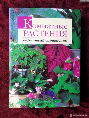 Комнатные растения карманный справочник. О. Петина, Ю. Попова - «Компактный  и удобный » | отзывы