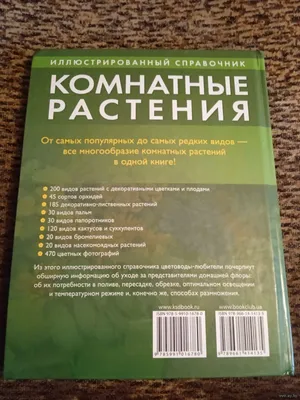 Выбор комнатных растений для окон разных сторон света. - Советы