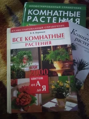 Комнатные растения карманный справочник. О. Петина, Ю. Попова - «Компактный  и удобный » | отзывы