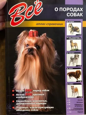Все породы собак. Большая иллюстрированная энциклопедия | Китаева Елена  Сергеевна, Сафронова Анна Андреевна - купить с доставкой по выгодным ценам  в интернет-магазине OZON (1234704687)