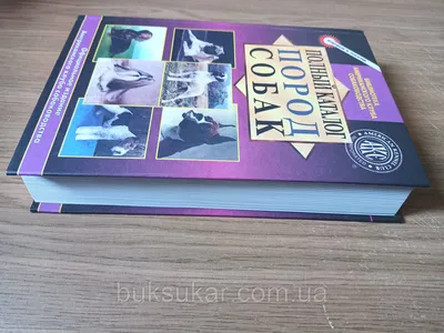 Большие породы собак – топ-15 крупных пород с фото – ProPlan.ru