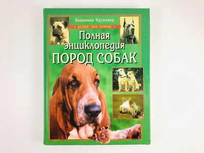 ЧТО ТАКОЕ ПОРОДА ,ГИБРИД И БАСТАРД(шалайка) | Шалайка.Собака  Сулимова.Шакало псовая собака.СПРАВОЧНИК | Дзен