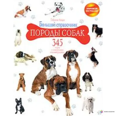 Породы собак. Описание. – скачать приложение для Android – Каталог RuStore
