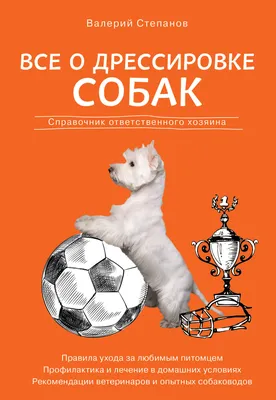 Йорки против ротвейлера: почему собаки москвичей мельчают - Ведомости.Город