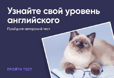 ЕГЭ и FCE. Сходства и различия | Skyteach