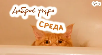 Среда — это маленькая пятница 😁 | Красное и Белое | ВКонтакте