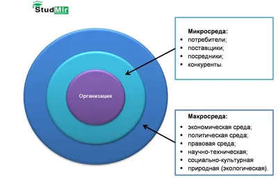 Проект «Культурная среда»